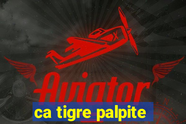 ca tigre palpite