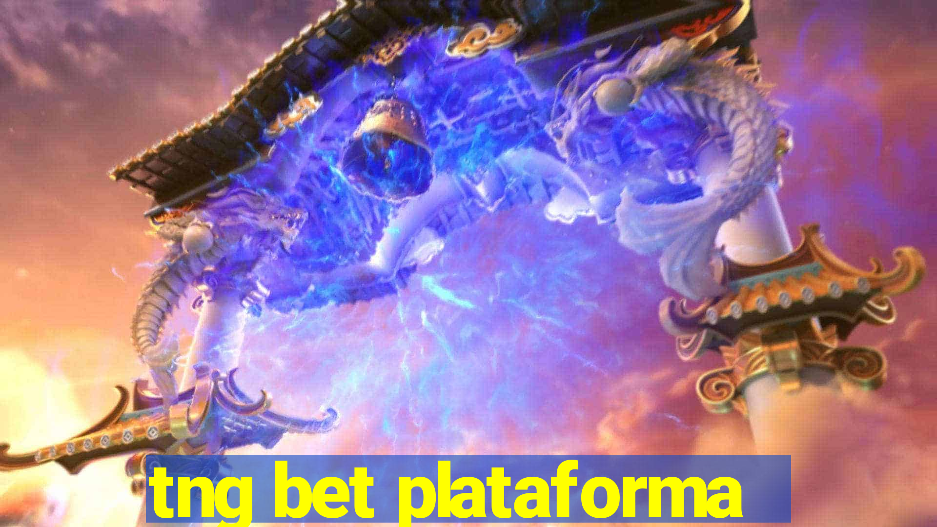 tng bet plataforma