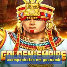 acompanhates em guanambi