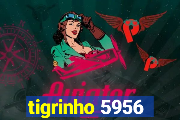 tigrinho 5956