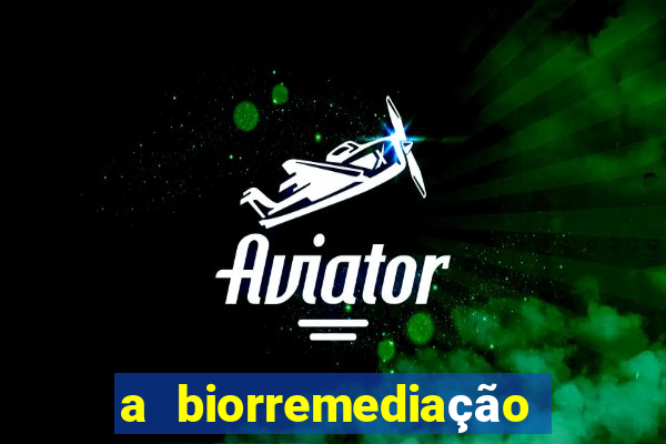 a biorremediação é uma tecnologia sustentável?