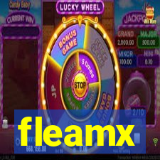 fleamx