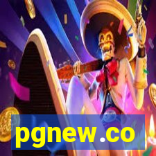 pgnew.co