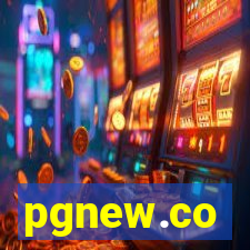 pgnew.co