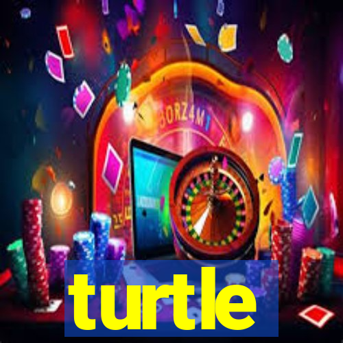 turtle-ty.com